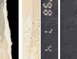 Исправление дефекта клонированием